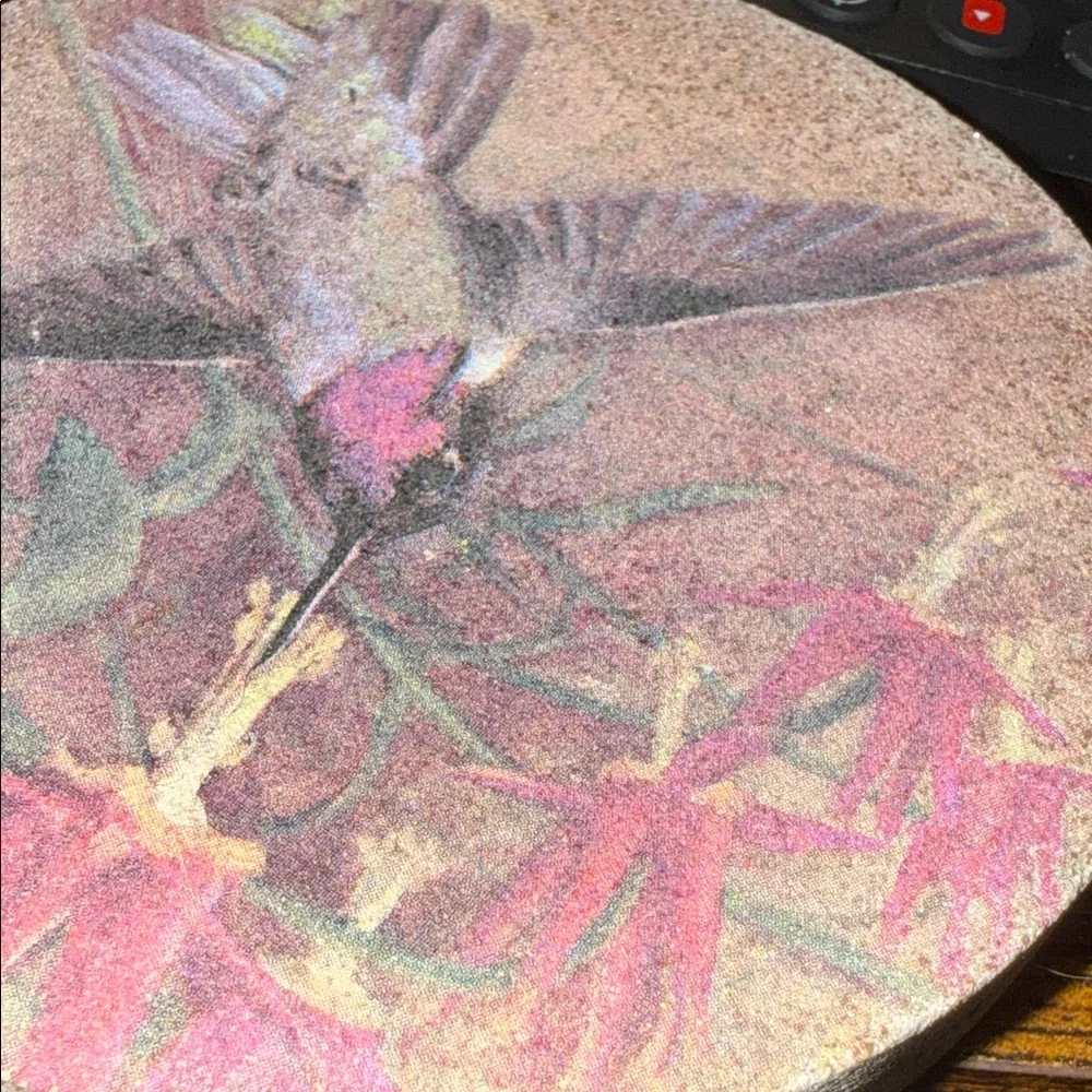 Thirstystone Hummingbird Stone Coaster Set with Pink and Brown Accents- Set of 4